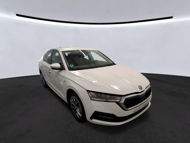 Octavia 2.0TDI DSG Ambition Navi Sunset Sport - carmax24 GmbH
